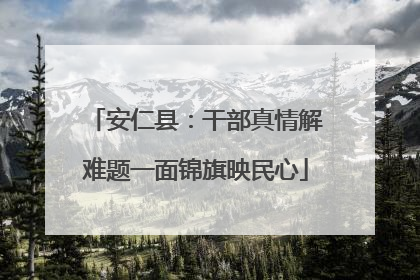 安仁县：干部真情解难题一面锦旗映民心