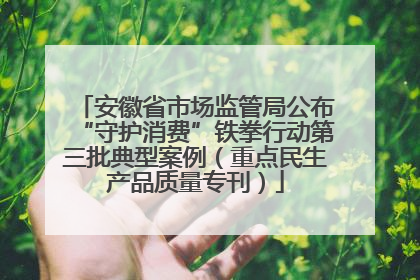 安徽省市场监管局公布“守护消费”铁拳行动第三批典型案例（重点民生产品质量专刊）