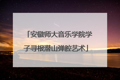 安徽师大音乐学院学子寻根潜山弹腔艺术