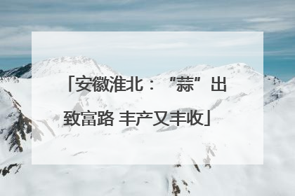 安徽淮北：“蒜”出致富路 丰产又丰收