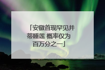 安徽首现罕见并蒂睡莲 概率仅为百万分之一