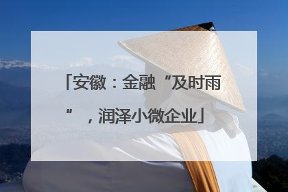 安徽：金融“及时雨”，润泽小微企业