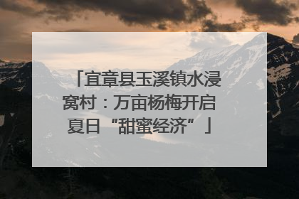 宜章县玉溪镇水浸窝村：万亩杨梅开启夏日“甜蜜经济”