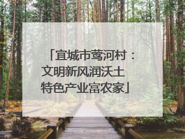 宜城市莺河村：文明新风润沃土 特色产业富农家