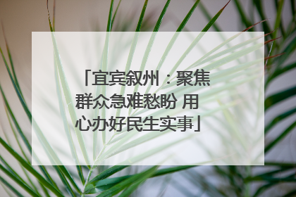 宜宾叙州：聚焦群众急难愁盼 用心办好民生实事