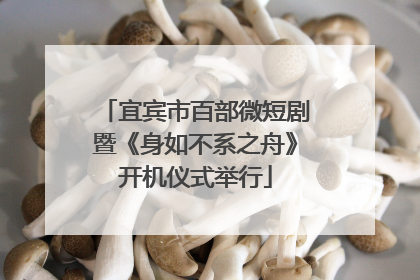 宜宾市百部微短剧暨《身如不系之舟》开机仪式举行