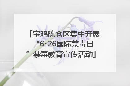 宝鸡陈仓区集中开展“6･26国际禁毒日”禁毒教育宣传活动