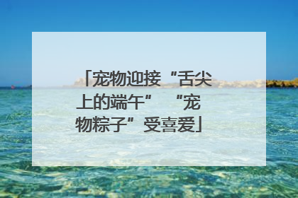 宠物迎接“舌尖上的端午” “宠物粽子”受喜爱
