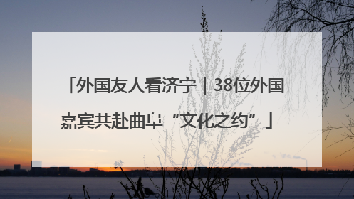 外国友人看济宁｜38位外国嘉宾共赴曲阜“文化之约”