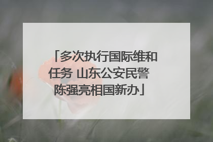多次执行国际维和任务 山东公安民警陈强亮相国新办