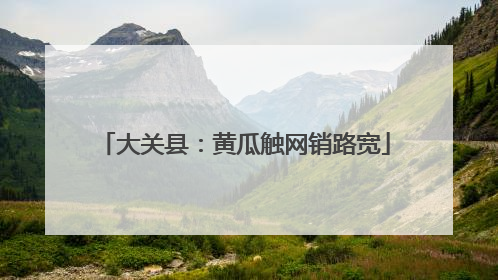 大关县：黄瓜触网销路宽