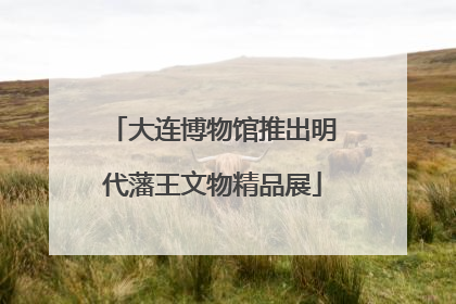 大连博物馆推出明代藩王文物精品展