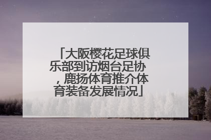 大阪樱花足球俱乐部到访烟台足协，鹿扬体育推介体育装备发展情况