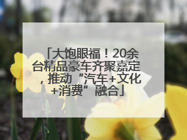 大饱眼福！20余台精品豪车齐聚嘉定，推动“汽车+文化+消费”融合
