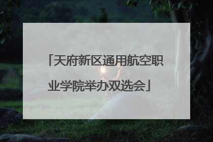 天府新区通用航空职业学院举办双选会