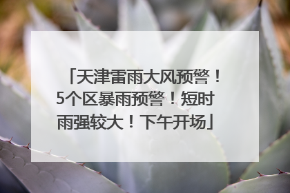 天津雷雨大风预警！5个区暴雨预警！短时雨强较大！下午开场