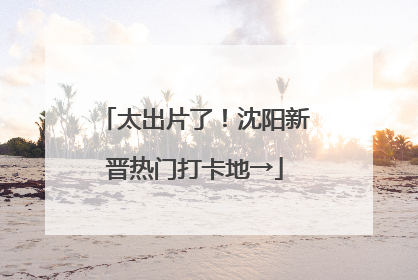 太出片了！沈阳新晋热门打卡地→