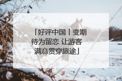 好评中国丨变期待为留恋 让游客满意贯穿旅途
