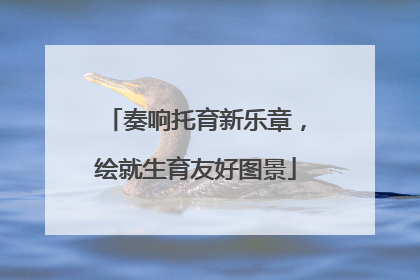奏响托育新乐章，绘就生育友好图景