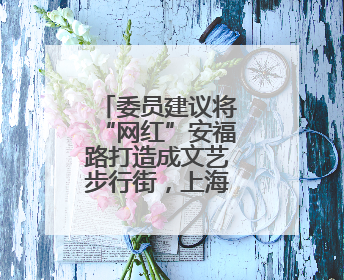 委员建议将“网红”安福路打造成文艺步行街，上海徐汇区回应
