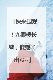 快来围观！九眼楼长城，傻狍子出没~