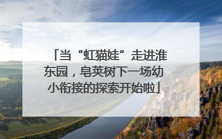 当“虹猫娃”走进淮东园，皂荚树下一场幼小衔接的探索开始啦