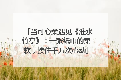 当可心柔遇见《淮水竹亭》：一张纸巾的柔软，接住千万次心动