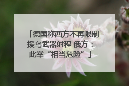 德国称西方不再限制援乌武器射程 俄方：此举“相当危险”
