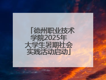 德州职业技术学院2025年大学生暑期社会实践活动启动