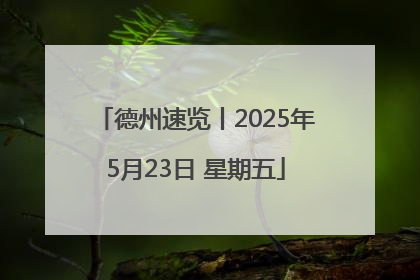 德州速览丨2025年5月23日 星期五