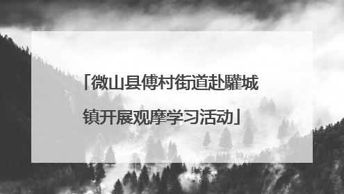 微山县傅村街道赴驩城镇开展观摩学习活动
