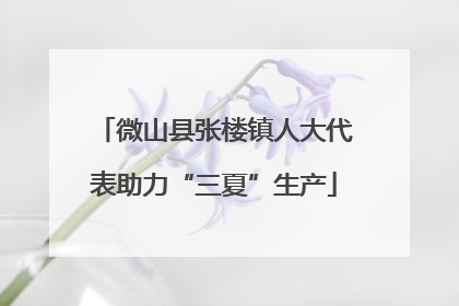 微山县张楼镇人大代表助力“三夏”生产