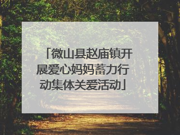 微山县赵庙镇开展爱心妈妈蓄力行动集体关爱活动