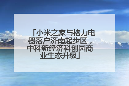 小米之家与格力电器落户济南起步区，中科新经济科创园商业生态升级