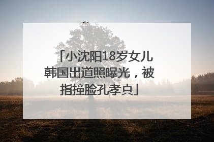 小沈阳18岁女儿韩国出道照曝光，被指撞脸孔孝真