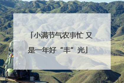 小满节气农事忙 又是一年好“丰”光