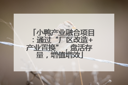 小鸭产业融合项目：通过“厂区改造+产业置换”，盘活存量，增值增效