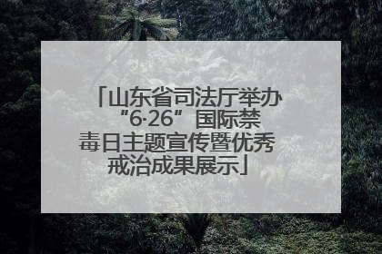 山东省司法厅举办“6·26”国际禁毒日主题宣传暨优秀戒治成果展示