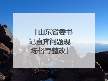 山东省委书记直奔问题现场督导整改