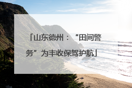 山东德州：“田间警务”为丰收保驾护航