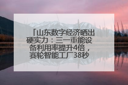 山东数字经济晒出硬实力：三一重能设备利用率提升4倍，赛轮智能工厂38秒生产一条轮胎