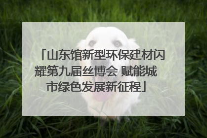 山东馆新型环保建材闪耀第九届丝博会 赋能城市绿色发展新征程
