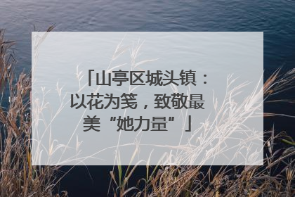 山亭区城头镇：以花为笺，致敬最美“她力量”