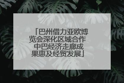 巴州借力亚欧博览会深化区域合作 中巴经济走廊成果惠及经贸发展