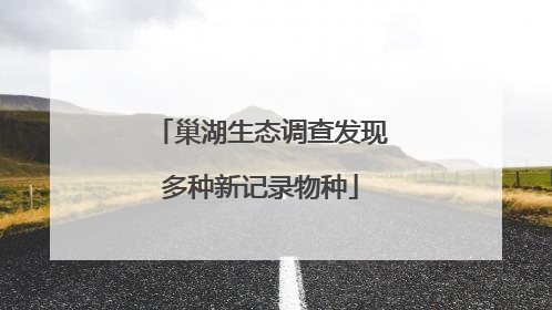 巢湖生态调查发现多种新记录物种
