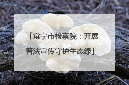 常宁市检察院：开展普法宣传守护生态绿