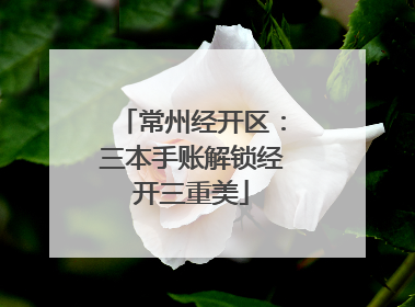 常州经开区：三本手账解锁经开三重美