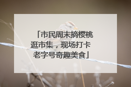 市民周末摘樱桃逛市集，现场打卡老字号奇趣美食
