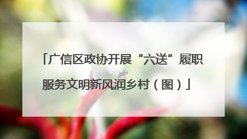 广信区政协开展“六送”履职服务文明新风润乡村（图）