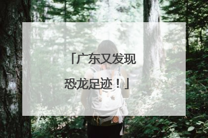 广东又发现恐龙足迹！
